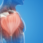 sistem gerak manusia dan hewan