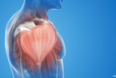 sistem gerak manusia dan hewan