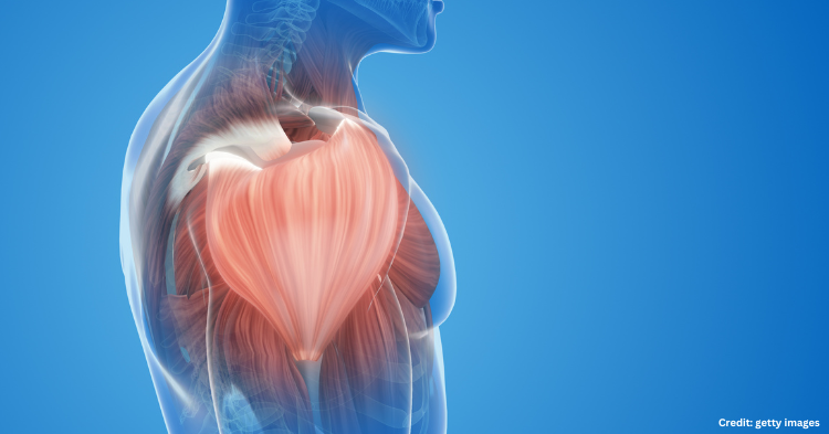 sistem gerak manusia dan hewan